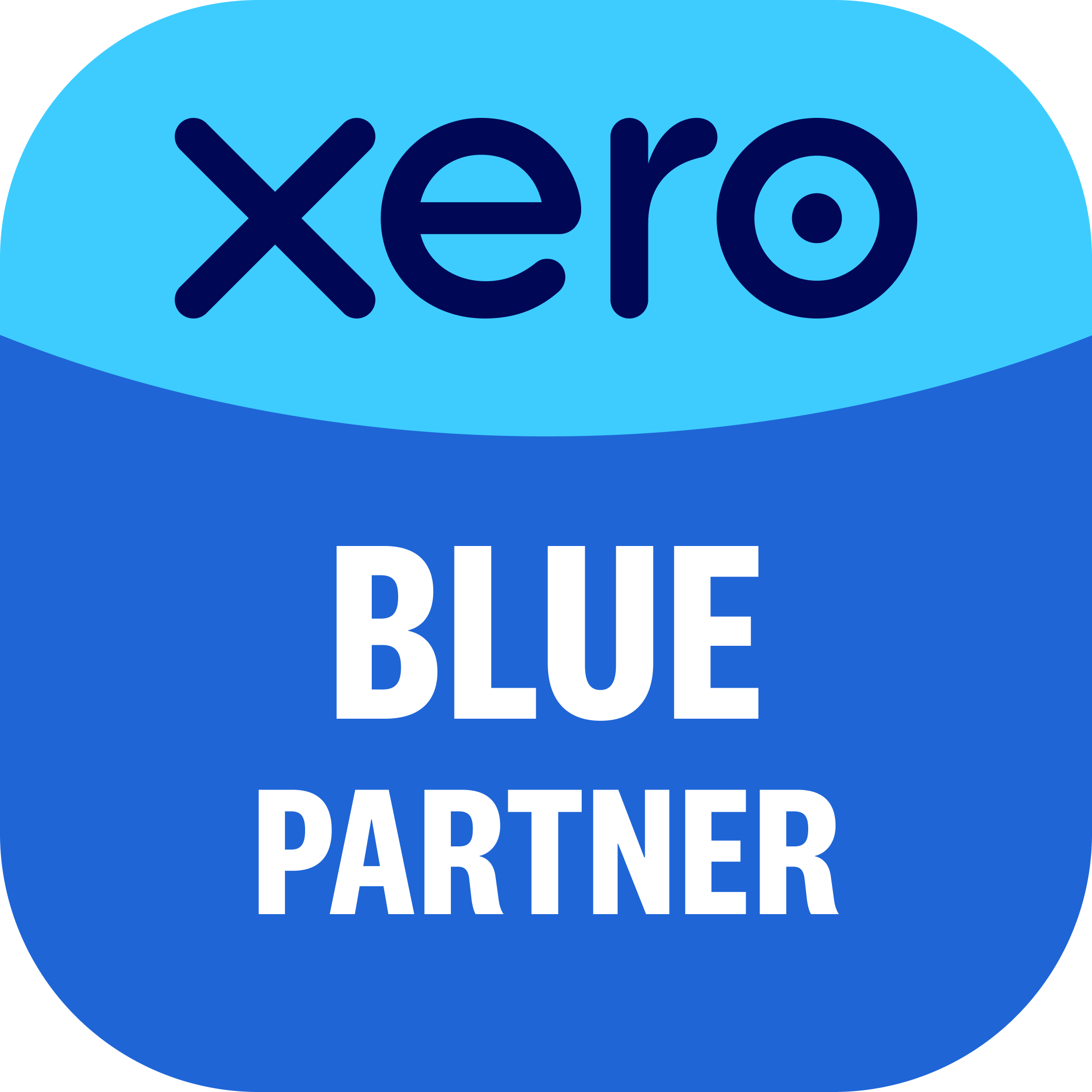 Xero Blue Partner